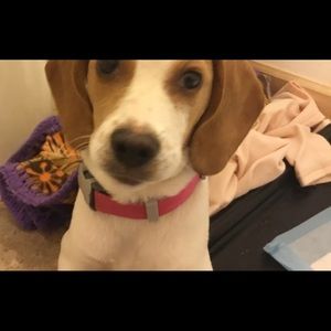 Meet your Posher, Andy